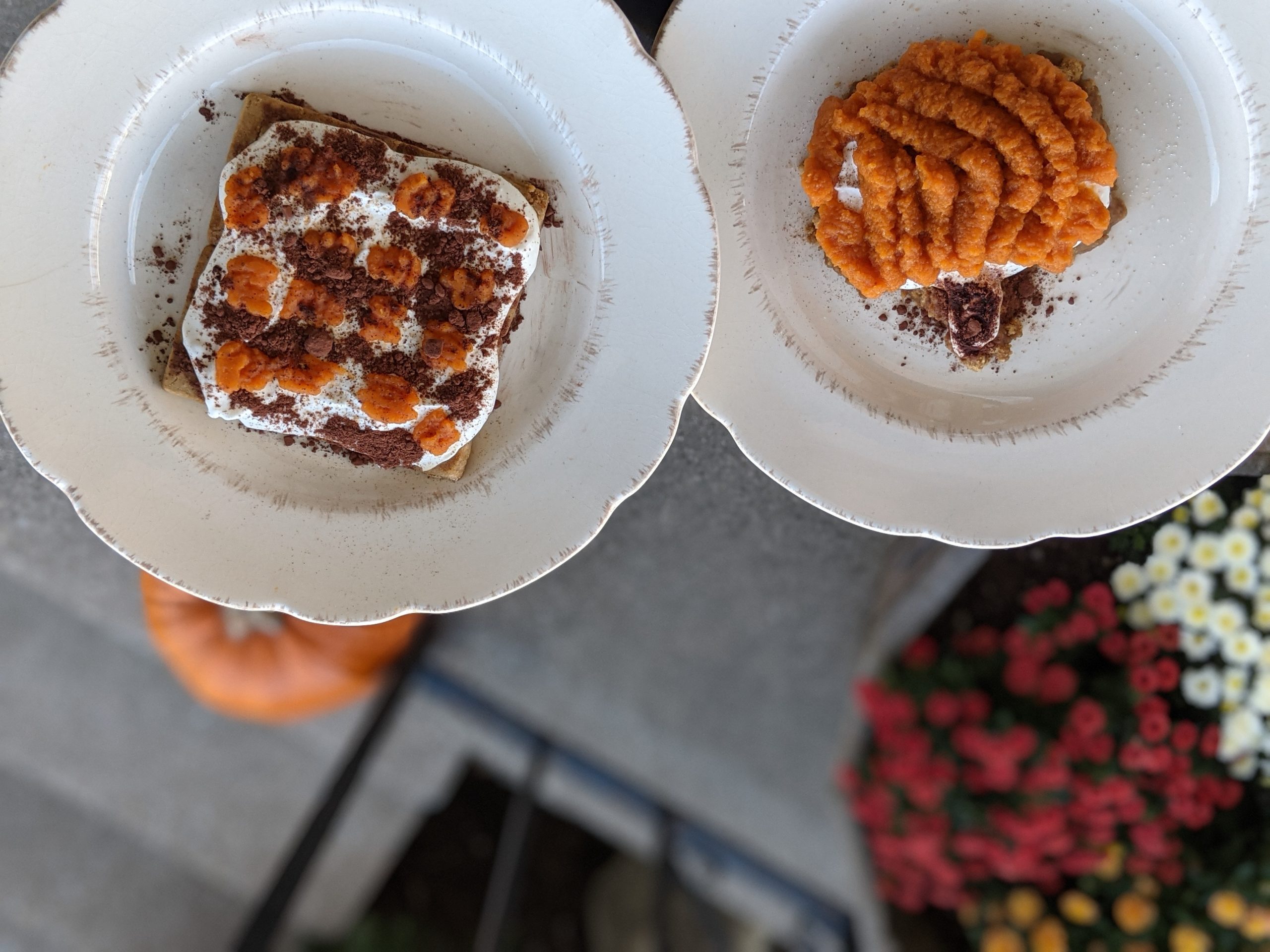 Chocolate Pumpkin Cheesecake- IDDSI Level 4 pureed