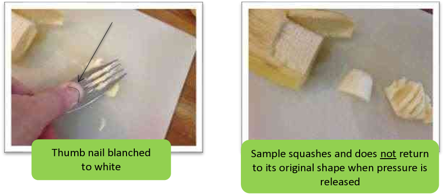 when pressing with a fork to the point where the thumbnail blanches white, the IDDSI level 6 sample squashes and does not return to its original shape